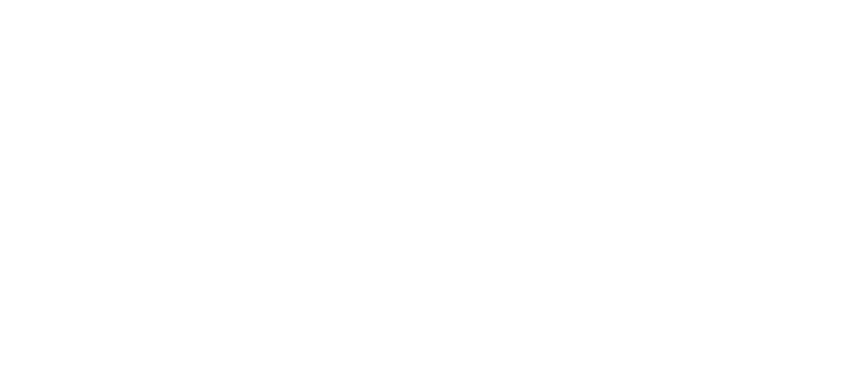 white-Pioneer-logo-2